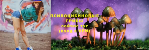 apvp Горно-Алтайск