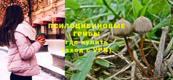 тгк Горнозаводск