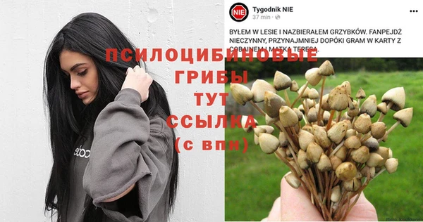 ECSTASY Струнино