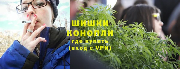 тгк Горнозаводск