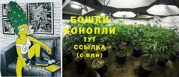 тгк Горнозаводск