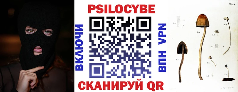 сайты даркнета какой сайт где найти Кораблино Галлюциногенные грибы Psilocybine cubensis